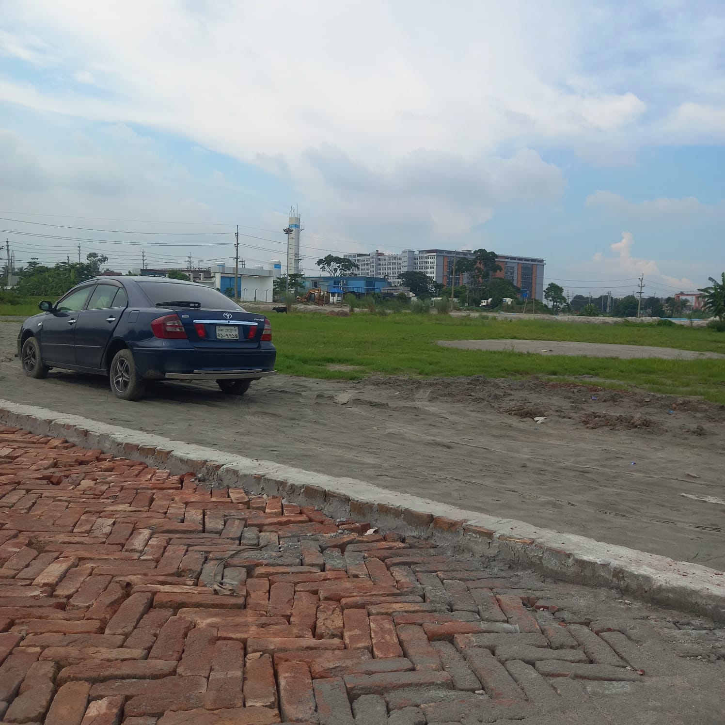 টিউলিপ ভ্যালী টিউলিপ ভ্যালী